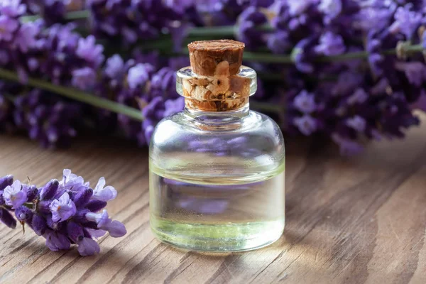 Een fles lavendel etherische olie en verse plant — Stockfoto