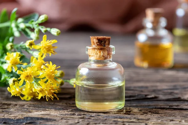 A bottle of essential oil with European goldenrod — Stock Photo, Image