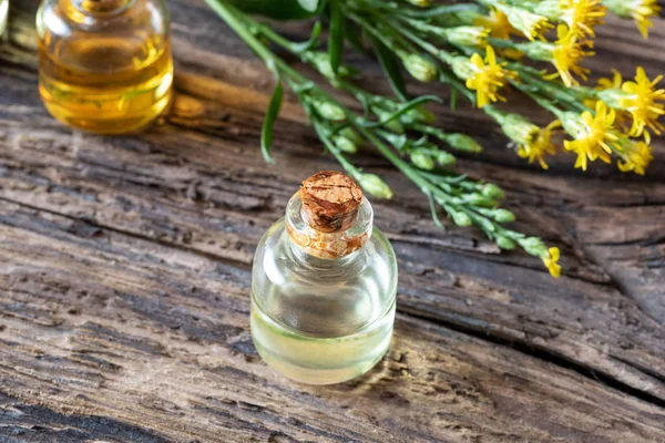 A bottle of essential oil with fresh European goldenrod — Stock Photo, Image