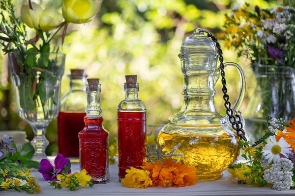 Бутылки зверобоя и вечернее масло из первоцвета со смесью — стоковое фото