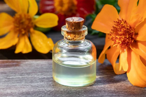 A bottle of essential oil with fresh tagetes flowers — Stock Photo, Image