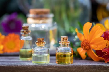 Taze tagetes çiçek ile uçucu yağ Şişeleri