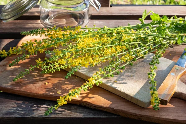 Zubereitung von Tinktur aus frischen Bauernblumen — Stockfoto