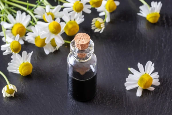 Una botella de aceite esencial de manzanilla azul oscuro y flores — Foto de Stock