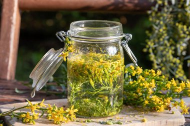 Preparation of tincture from European goldenrod flowers clipart