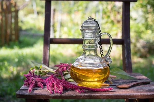Бутылка амаранта каудатус и свежее растение — стоковое фото
