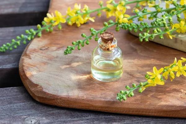 Una bottiglia di olio essenziale con pianta agrimony fiorente — Foto Stock