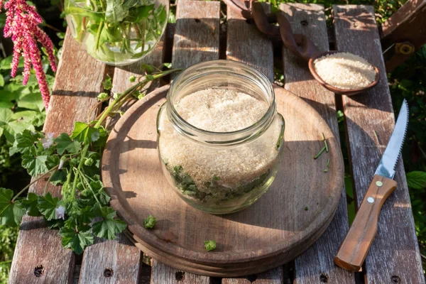 Préparation de sirop de mauve à partir d'une plante de Malva neglecta — Photo