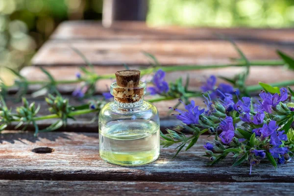 Una botella de aceite esencial con planta de hisopo en flor — Foto de Stock