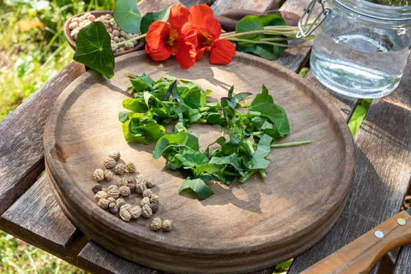 Beredning av tinktur från färskt Nasturtium eller Tropaeolum maj — Stockfoto