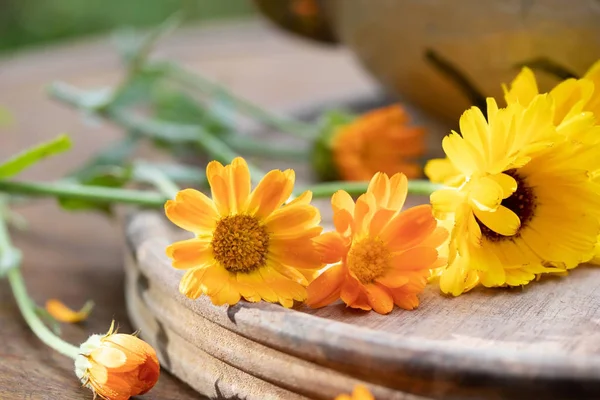 Friske calendula blomster på et bord - Stock-foto