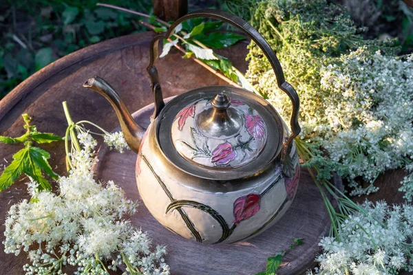 A teáskanna frissen Meadowsweet virágok — Stock Fotó