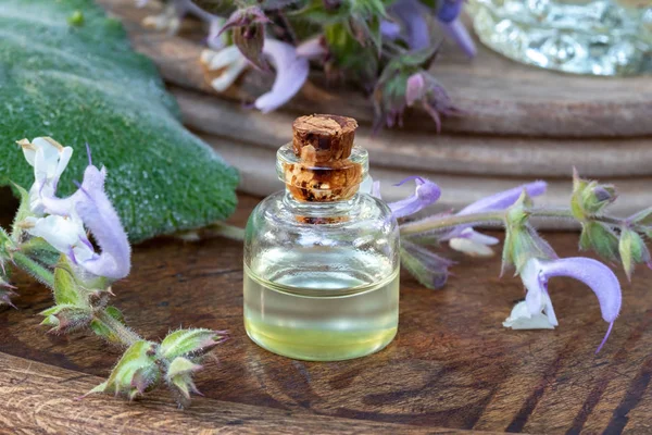A bottle of essential oil with fresh clary sage plant — Stock Photo, Image