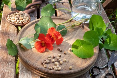Backgro tentür bir şişe taze nasturtium çiçek