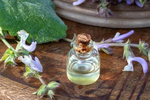 Een fles etherische olie met verse salie plant — Stockfoto