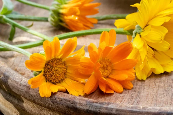 Färska Calendula blommor på ett träbord — Stockfoto