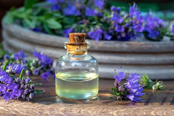 Een flesje etherische olie met verse bloeiende hysop — Stockfoto