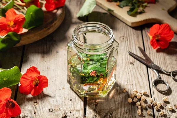 Bereiding van Nasturtium tinctuur van verse plant — Stockfoto