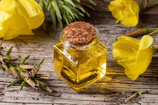 Une bouteille d'huile d'onagre aux graines et pr frais du soir — Photo