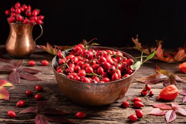 Sonbahar, gül kalçalar ve sonbahar yapraklarıyla sakin bir hayattır.