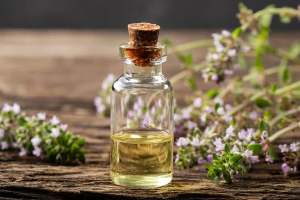 Una bottiglia di olio essenziale con timo strisciante in fiore — Foto Stock