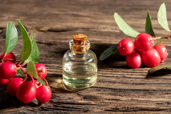 Eine Flasche wintergrünes ätherisches Öl mit wintergrünen Beeren — Stockfoto