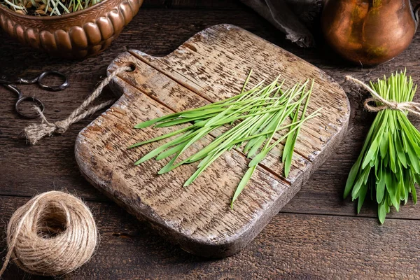 Hierba de cebada recién cultivada en una tabla de madera — Foto de Stock