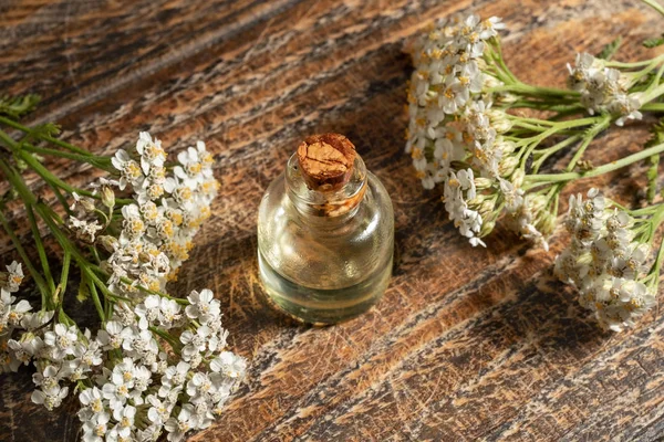 Esans taze çiçek açan civanperçemi ile bir şişe