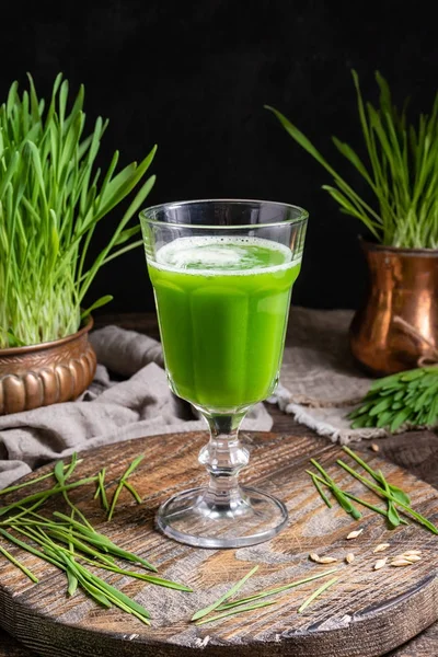 Ein Glas Gerstengrassaft mit frisch angebautem Gerstengras — Stockfoto