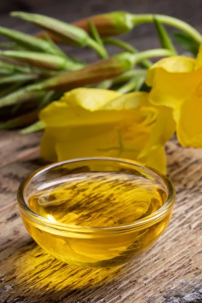 Un tazón de aceite de onagra con flor fresca de primor de la noche — Foto de Stock