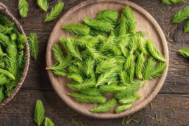 Ev yapımı şurup hazırlamak için toplanan genç ladin ipuçları.