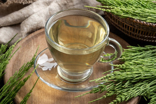 Horsetail tea with fresh plant on a table
