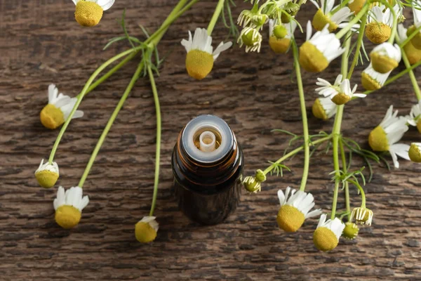 Flaska Eterisk Olja Med Färska Kamomillblommor Bakgrunden — Stockfoto