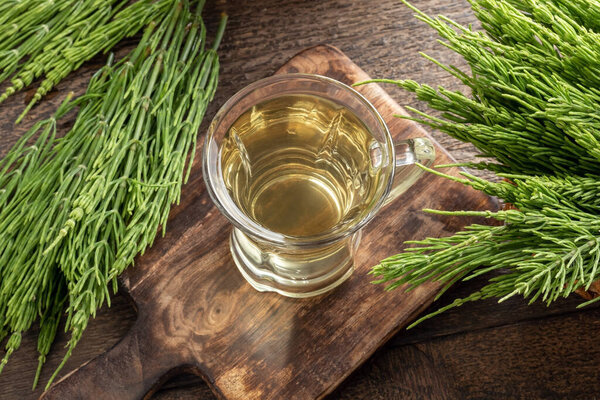 A cup of horsetail tea with fresh plant