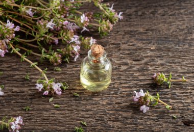 Çiçek açan kekik bitkisi ile birlikte bir şişe gerekli yağ.