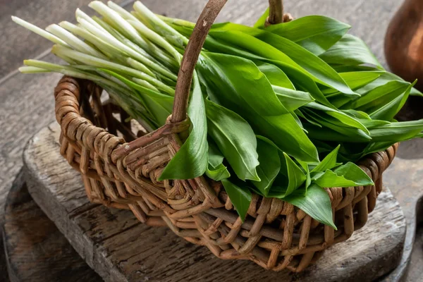 Fresh Young Wild Garlic Leaves Small Basket Table — Stock Photo, Image