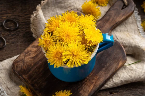 Friske Mælkebøtte Blomster Gryde - Stock-foto