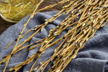 Aspirinin doğal alternatifi olan beyaz söğüt dalları ilkbaharın başlarında toplandı