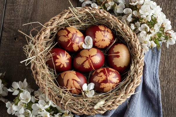 Paskalya Yumurtaları Soğan Kabuklarıyla Boyanmış Sepetin Içinde Taze Otlar Var — Stok fotoğraf
