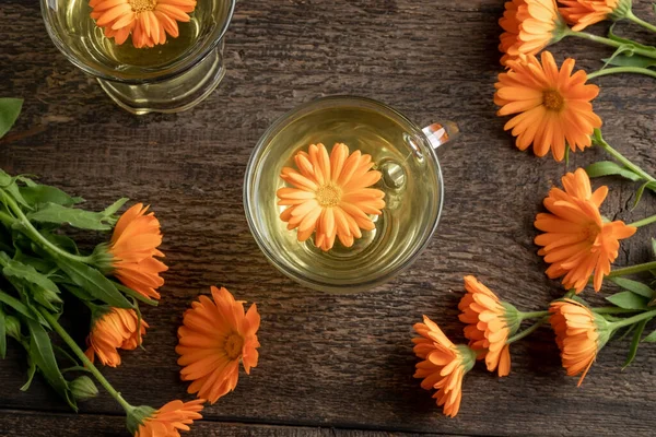 Ένα Φλιτζάνι Τσάι Βοτάνων Φρέσκα Λουλούδια Καλέντουλας — Φωτογραφία Αρχείου