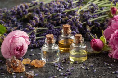 Three bottles of essential oil with frankincense resin, cabbage rose flowers and lavender clipart