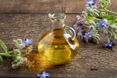 A bottle of borage oil with fresh blooming plant  clipart