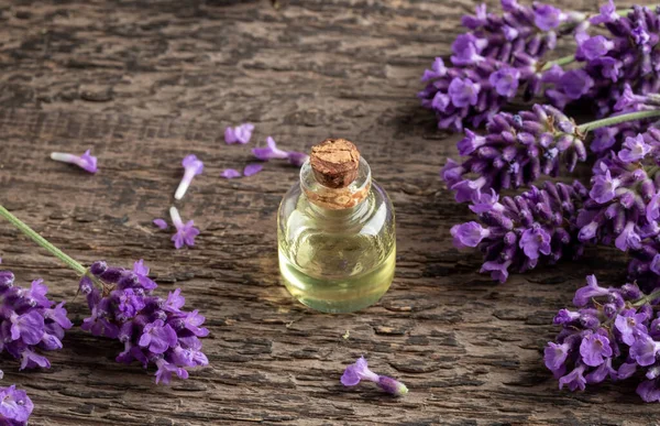 Una Botella Transparente Aceite Esencial Con Lavanda Flor Fresca — Foto de Stock