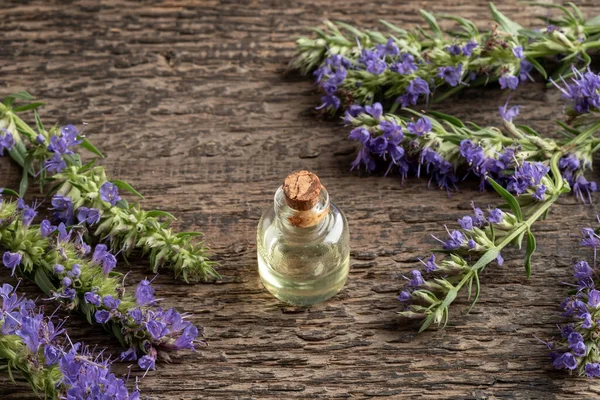 Bottle Essential Oil Fresh Blooming Hyssop — Stock Photo, Image