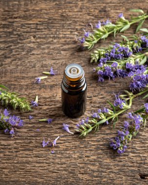 Taze çiçek açmış dalları olan koyu renkli bir yağ şişesi.