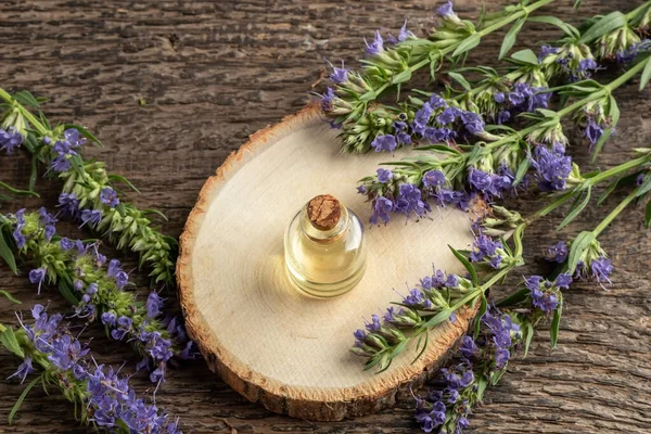 Een Fles Etherische Olie Met Bloeiende Hysop Plant Een Tafel — Stockfoto