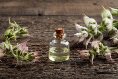 Masanın üzerinde taze bilge dalları olan bir şişe temel yağ.