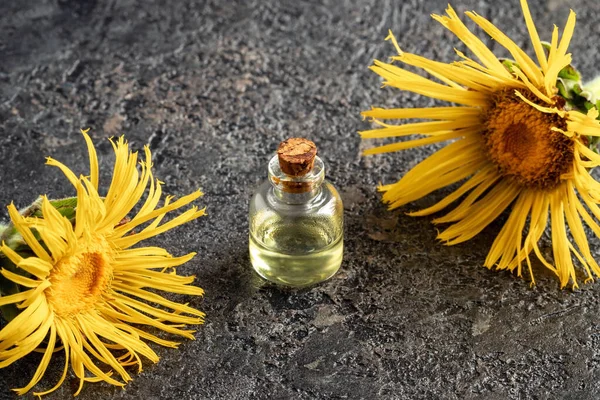 Una Botella Aceite Esencial Páncreas Eléctrico Con Planta Inula Helenium — Foto de Stock