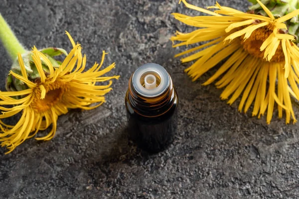 Eine Flasche Ätherisches Mit Frischen Inula Helenium Blüten Auf Grauem — Stockfoto