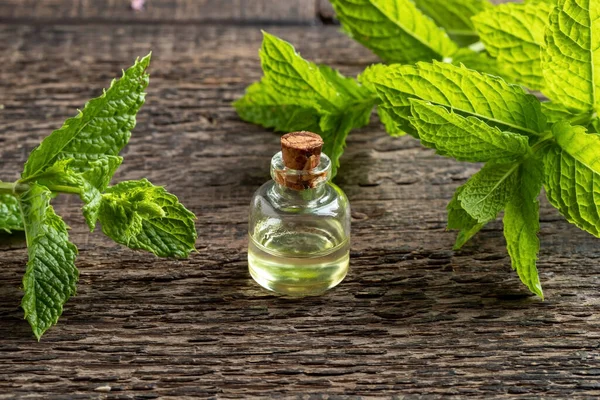 Una Botella Aceite Esencial Con Hojas Frescas Melisa — Foto de Stock